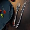 SSGP 316 Stainless Steel Steak Knife and Fork Set