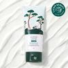 ROUND LAB For Men Pine Soothing Cica Cream 75ml
