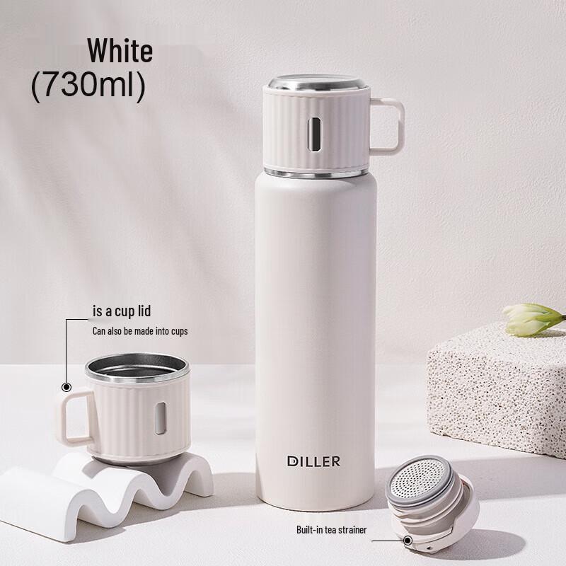 Diller Portable Stainless Steel Insulated Bottle