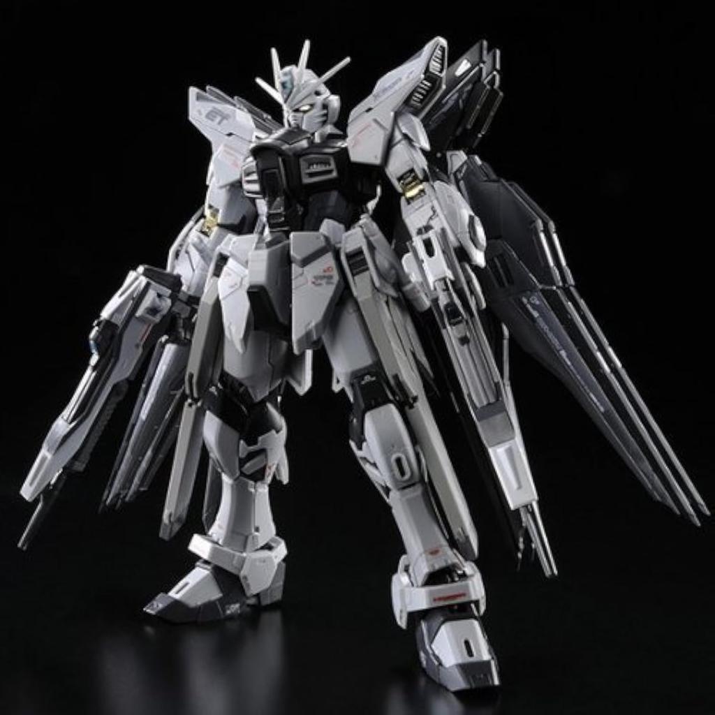RG Strike Freedom Gundam Deactive Mode Plastic Model Bandai 1/144 ZGMF-X20A (Premium Exclusive)