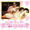 [S.T.S.G] Stuffed Goose Body Pillow, Large Cushion, Animal, Sleeping Together, Healing, Cute, Animal, Fluffy (50cm)