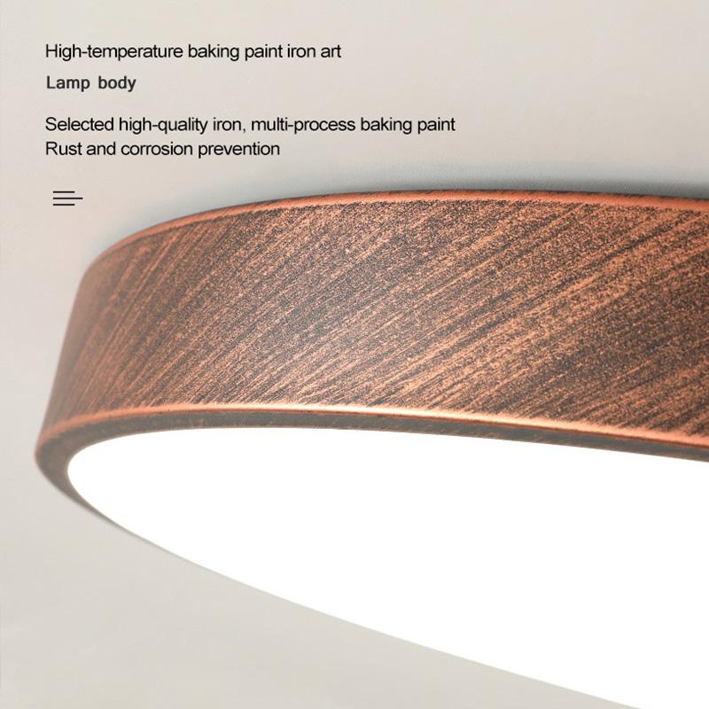 Lampada da Soffitto LED Nordica Ruggine Per Soggiorno Ingresso Camera da Letto Corridoio Balcone Ripostiglio Apparecchi di Illuminazione Interna