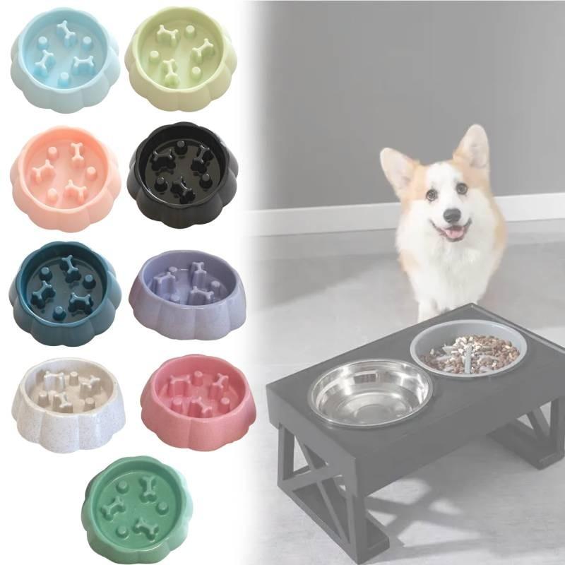 Pet Safe Slow Feed Bowl For Small Dogs And Cats With Anti Spill Design