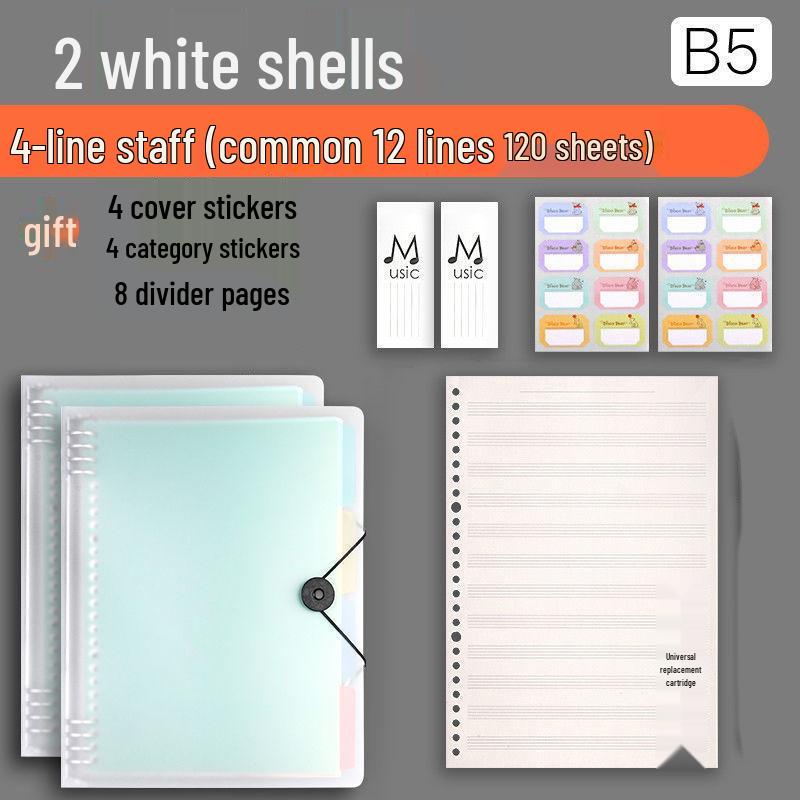 Professional Loose-leaf Music Staff Paper Book: Wide Spacing for Beginners and Students (Large Grid)