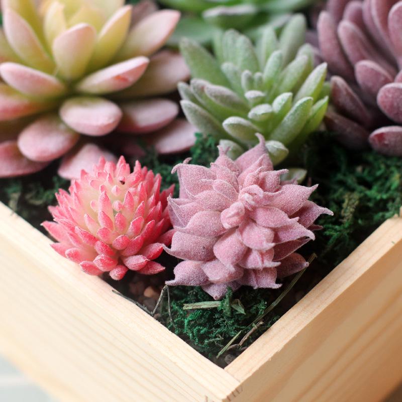 Realistic Fake Succulent Plants for Indoor & Outdoor Wall Decor