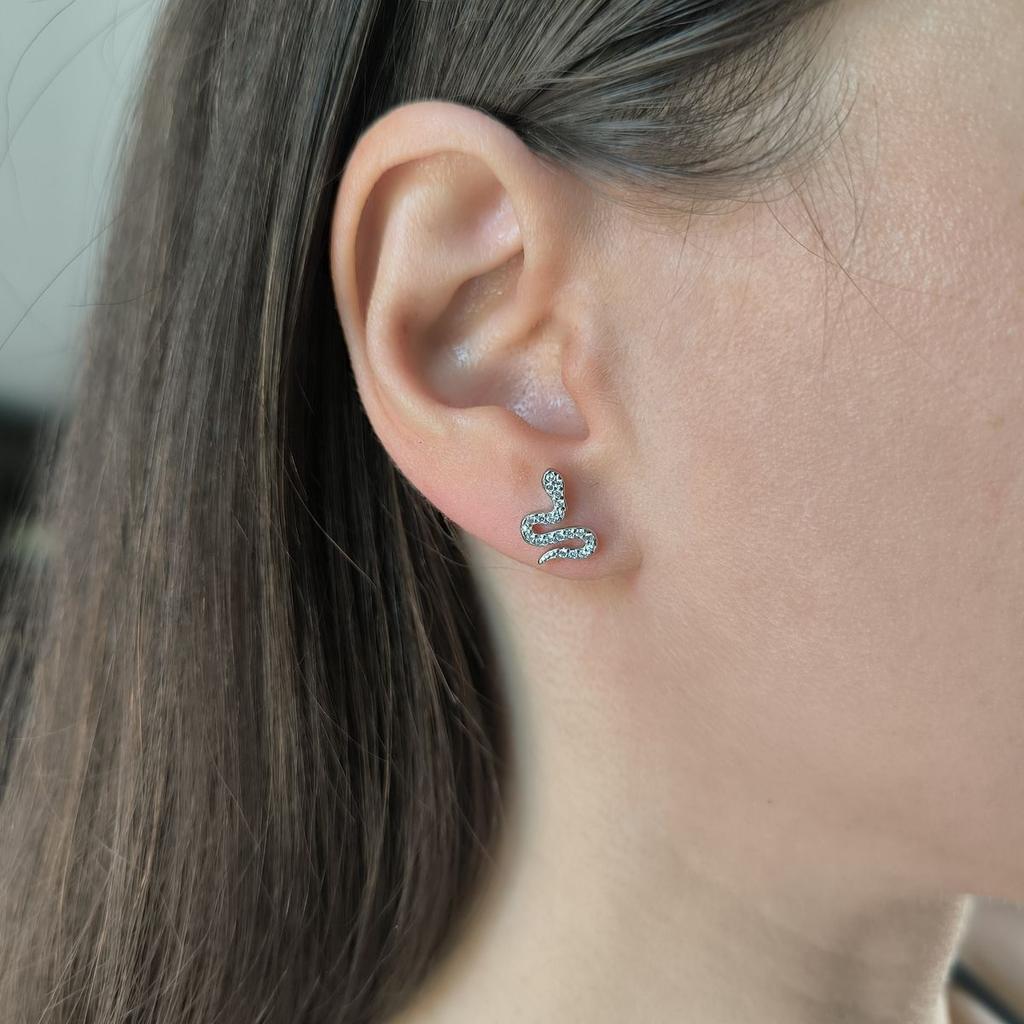 Orecchini in argento con zirconi cubici (2191681)