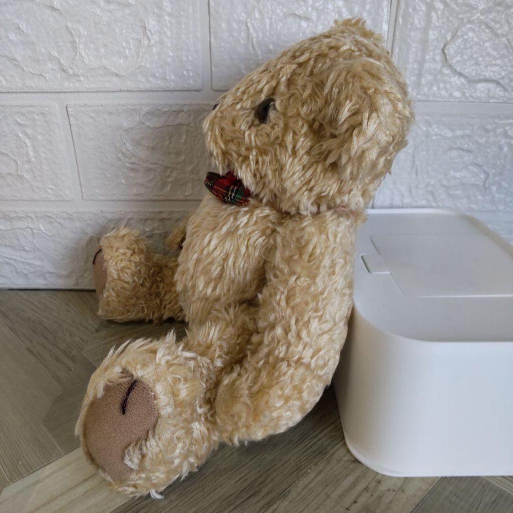 [USED] Y-68 Teddy Bear