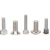 RC Car Stainless Steel Screws Box Set Accessory for Traxxas Maxx 1/10 Remote Control Car