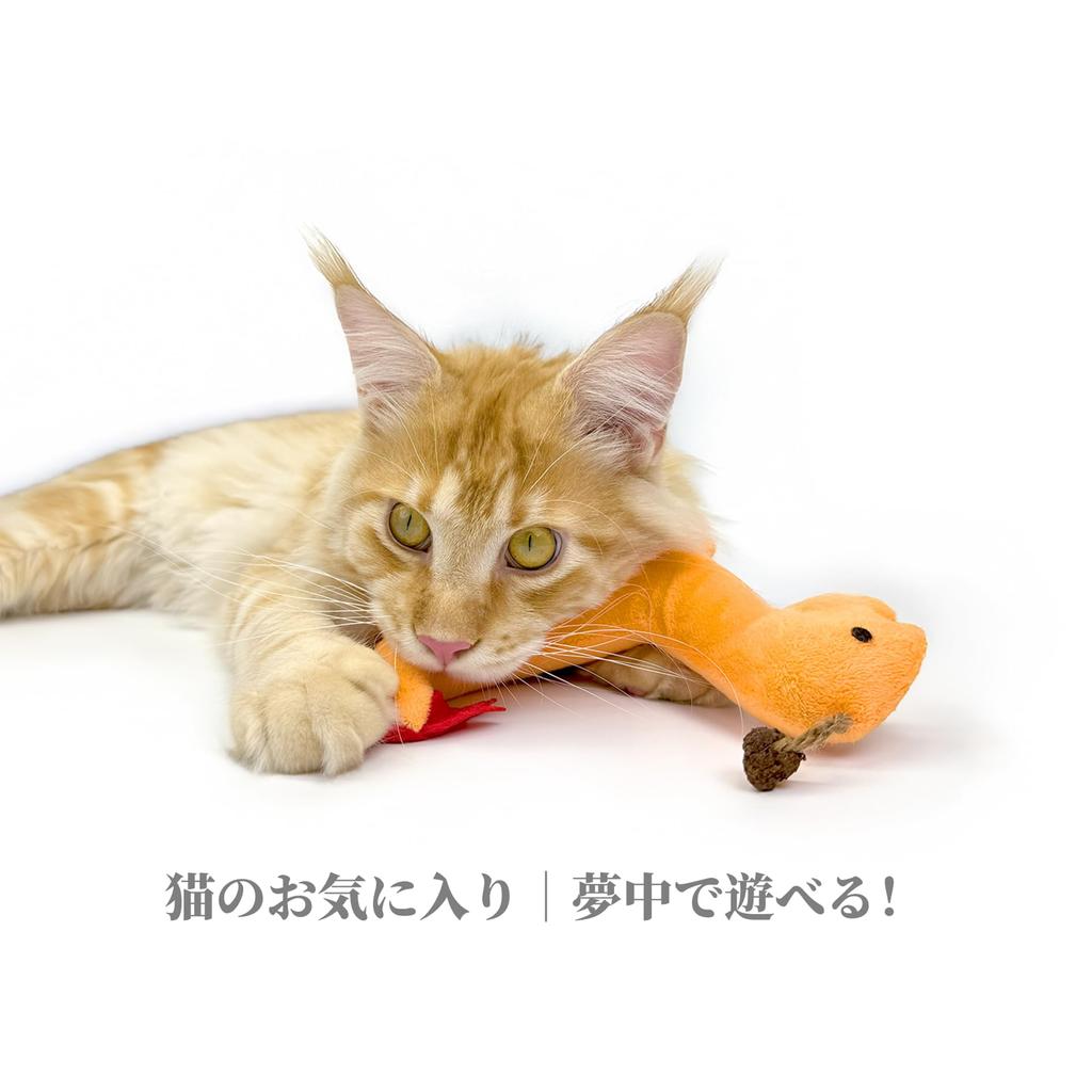 ZAYLUMO 3dílná sada hraček pro kočky – plyšová hračka s catnipem a catnipová tyčinka s peříčky pro kočky žijící v bytě, ke kousání a kopání, pro úlevu od stresu a cvičení