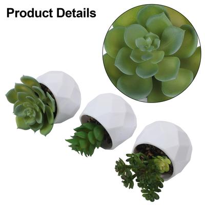 Artificial Succulents Decorative Flower Pot Elegant Design