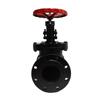 SGNFAFM Cast Iron Flange Gate Valve J41T-16 DN125