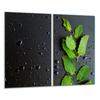 Glass Cutting Board 2X 30X52 Leaf