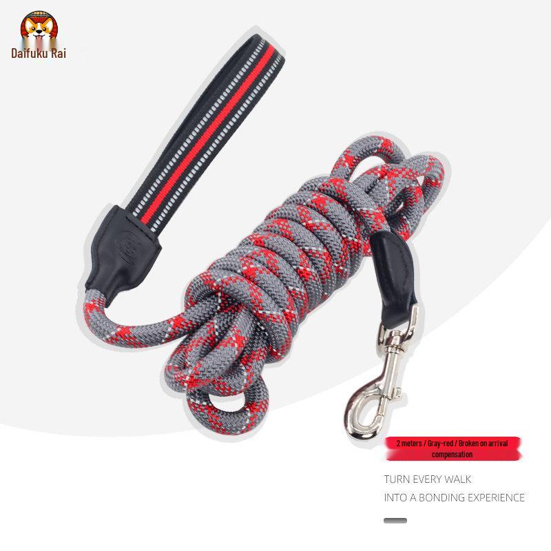 2m Anti-Shock Dog Leash with Collar for Medium & Large Breeds - Golden Retriever & Teddy Training Rope