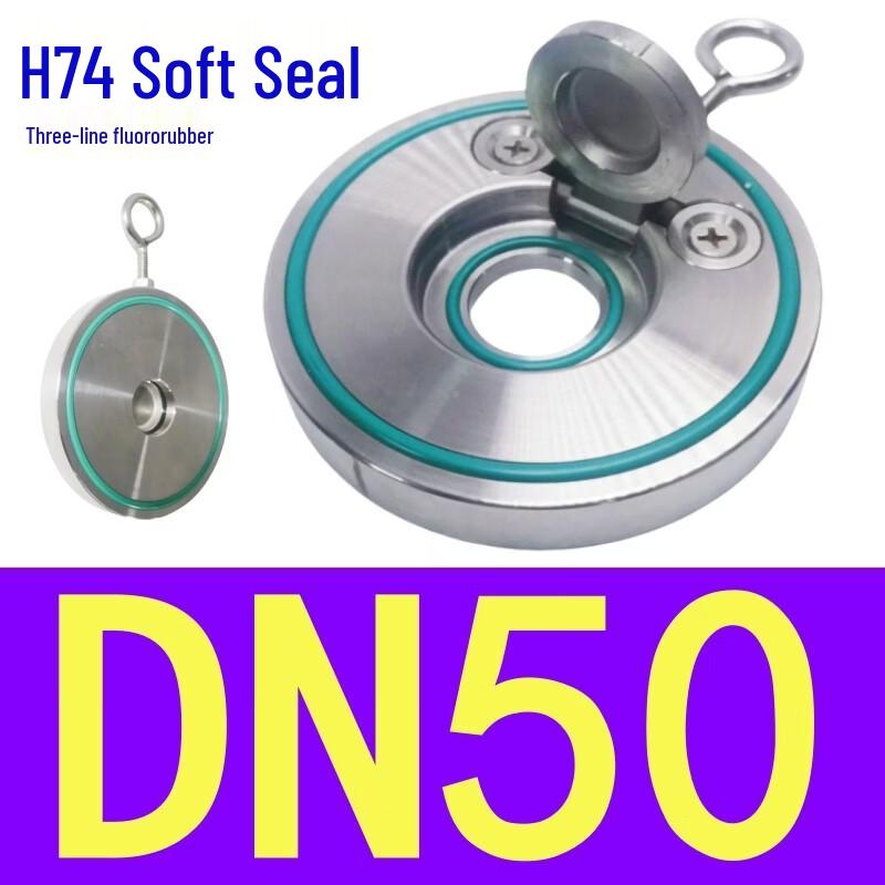 Rong Yu 304 Stainless Steel Wafer Swing Check Valve with FKM Seal
