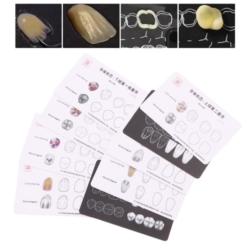 1box Dental Tooth Morphology Practice Card Resin Stacking Training Pad Dental Lab Teaching Tool Dental Students Auxiliary Tool