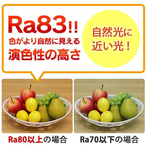 Iris Ohyama LED kitchen hand light for both undershelf and wall use KTM8N-TK
