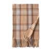 New Autumn and Winter Maillard Scarf Light Luxury and High End Korean Style Tassel Fashion Versatile High End Warm Scarf