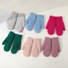 Windproof Plush Mittens Thickned Full Finger Gloves New Warm Gloves  Winter