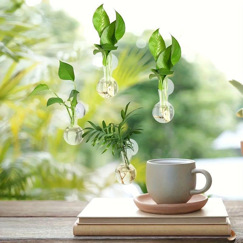 Wall-Mounted Hydroponic Glass Vase for Indoor Pothos and Money Plants, Transparent Decorative Planter for Home Windows