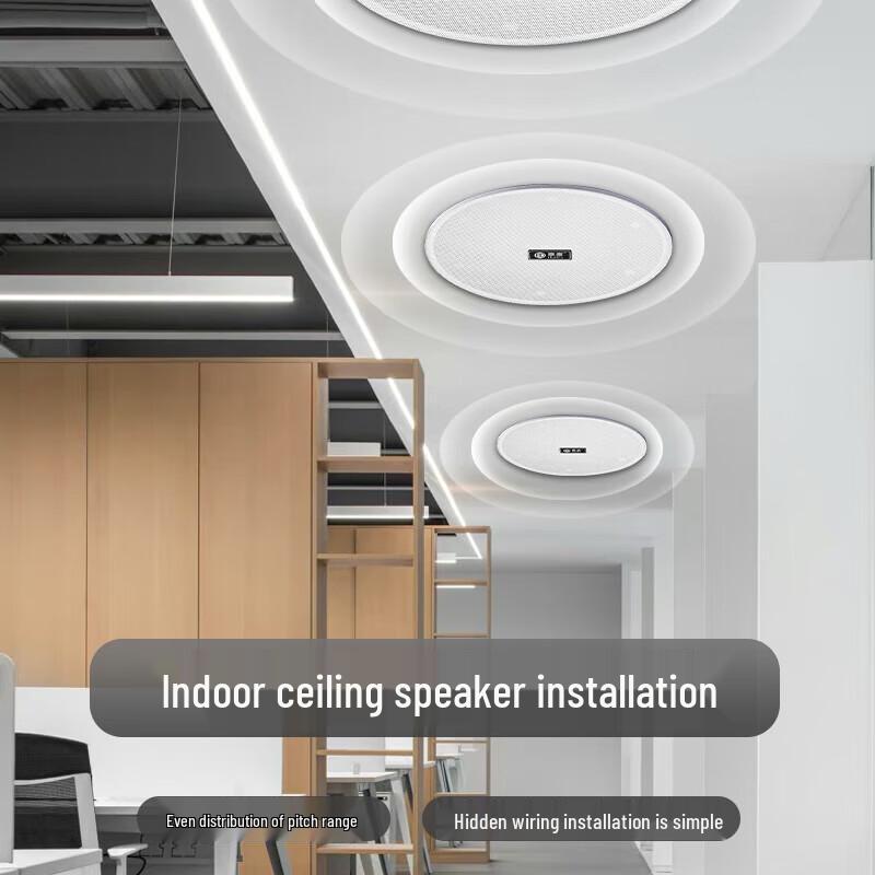 Huido Professional Coaxial Ceiling & Public Address Speakers (CN version)