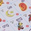 25 In 1 Voice Reading Book Study Toy 35 Pages Early Educational Chinese English Language Voice Wall Chart Toy