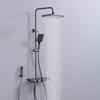 TLXT 4-Function Pressurized Shower System with Platform