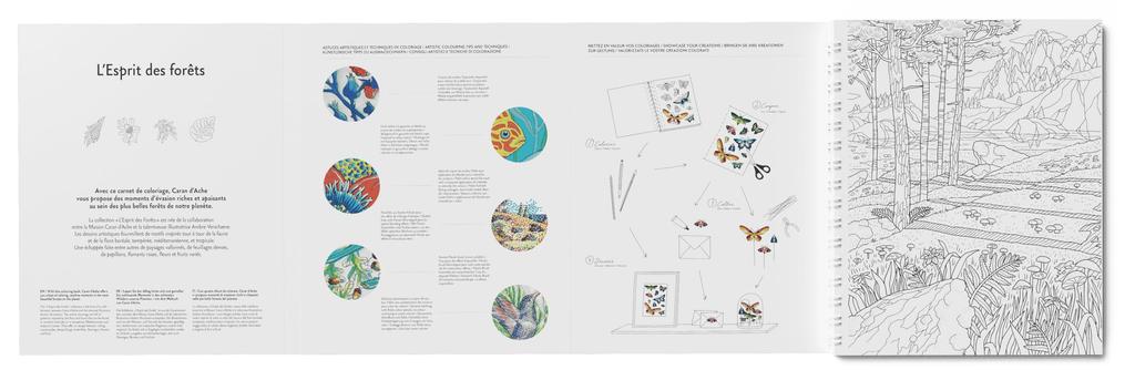 Karan Dash Coloriage Forest Coloring Book 0454-802