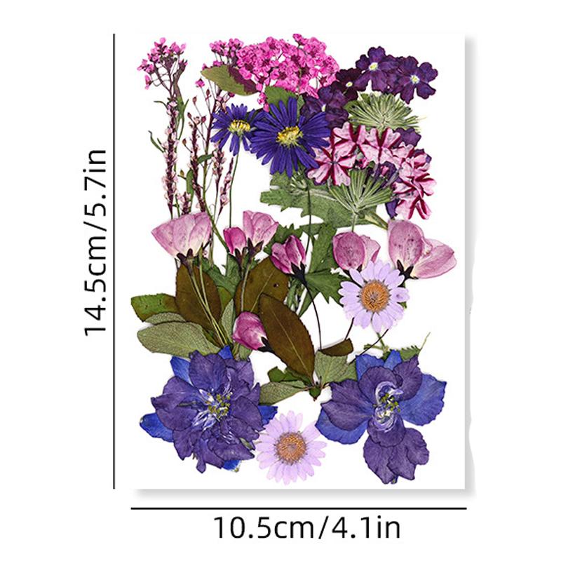 Pressed flower and dried flower craft kit, facial decoration for eye corner photo props, DIY resin photo frame with petals