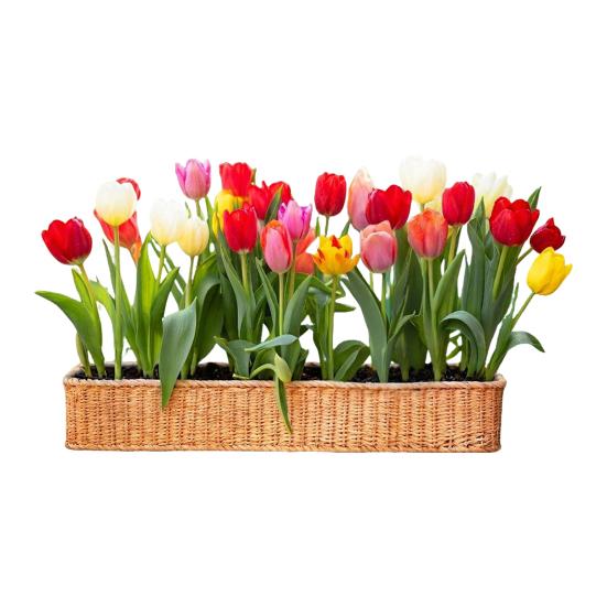 Fensteraufkleber Frühling Garten Design Doppelseitige Sichtbarkeit Elektrostatische Haftung Glasaufkleber Heim- und Geschäftsfensterdekoration