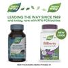 Bilberry, 90 Vegan Capsules
