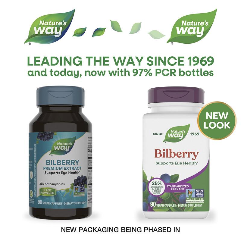 Bilberry, 90 Vegan Capsules