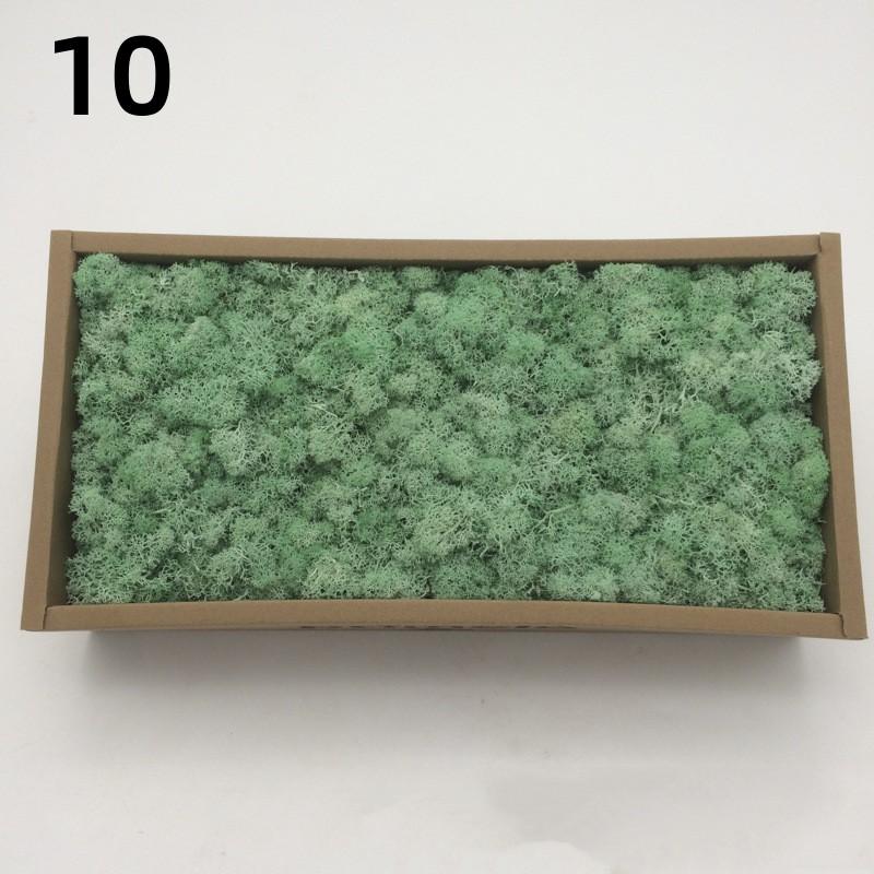 Neue 50/30/10g Künstliche Grüne Pflanzen Ewiges Leben Moos Gras Heim Garten Dekoration Mini Landschaft Künstliche Blume DIY Bastelgeschenke
