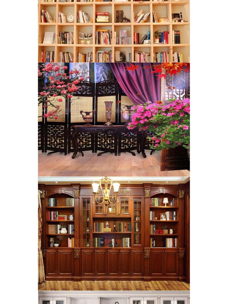 High-Definition Douyin-Moderator-Hintergrund: Bücherregal Bürodeko