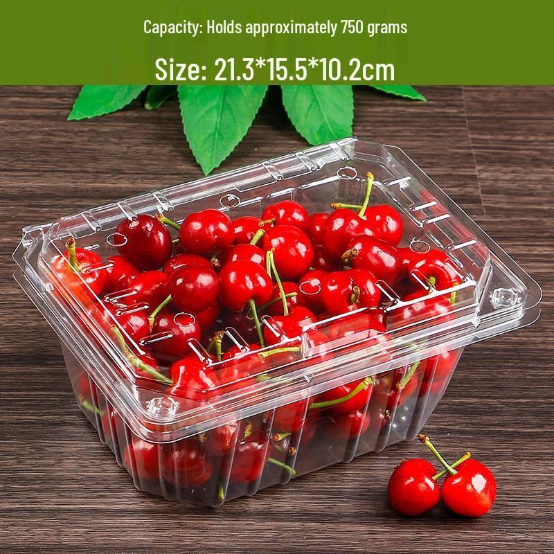 Chulu Disposable Rectangular Plastic Food Container with Lid