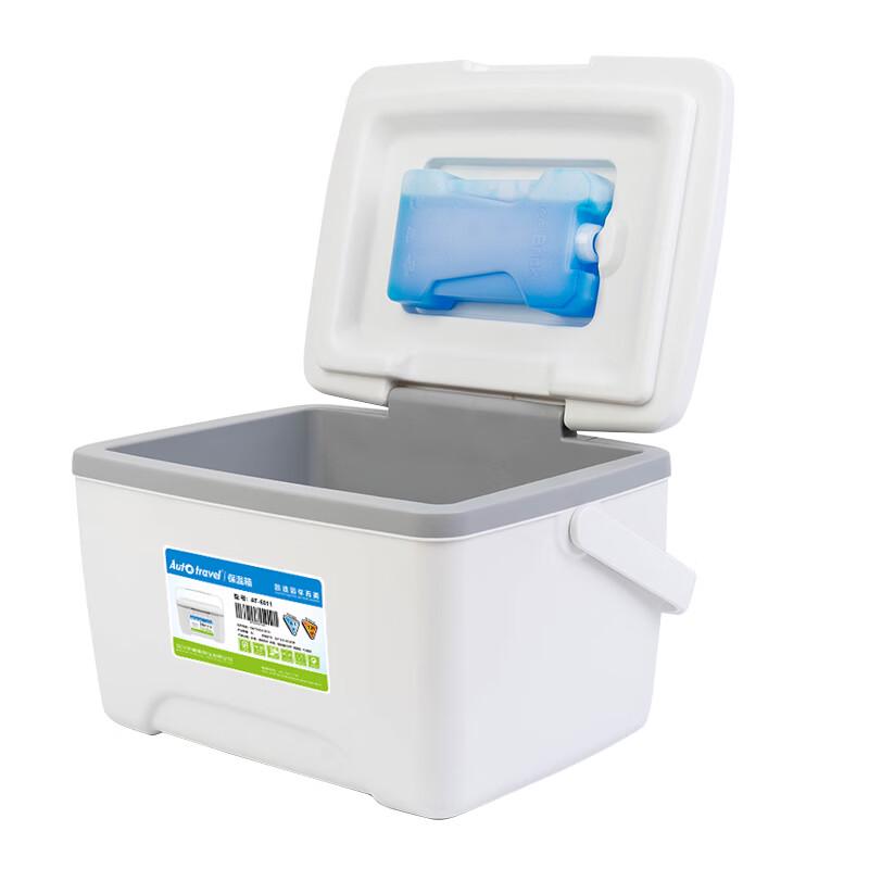 American Tourister 8L Portable Camping Cooler Box