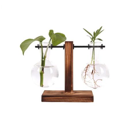 Hydrokultur Pflanze Terrarium Vasevase Dekoration Hause Glasflasche Hydrokultur Desktop Dekoration Büro Grüne Pflanze Kleine Topf