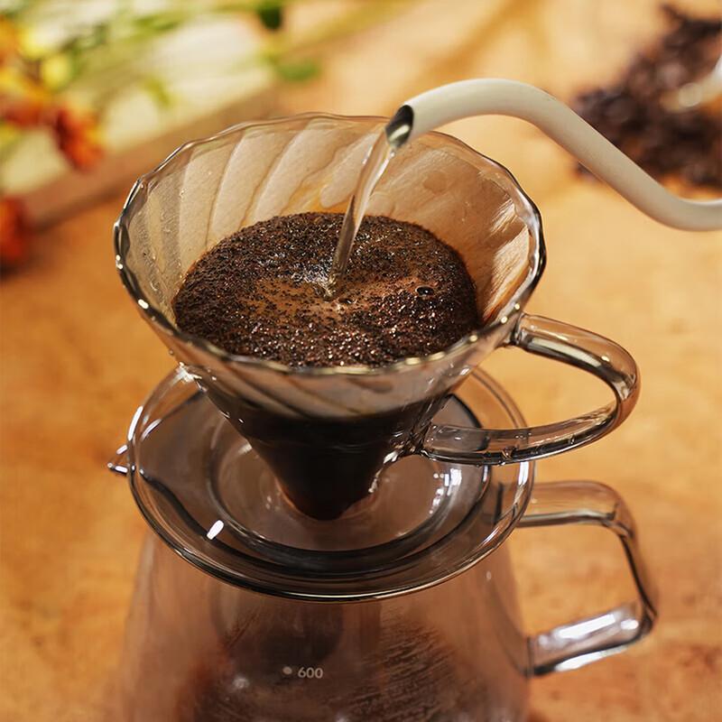 DESLON Home Hand-Pour Coffee Set (5-Piece)