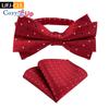 Two-piece Suit Paisley Bow Tie And Pocket Squares Handkerchief