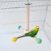 Bird Perch Nature Molar Stand for Parrots Conure Supplies Budgies Grinding Scratchers for Small Medium Parrots Toy