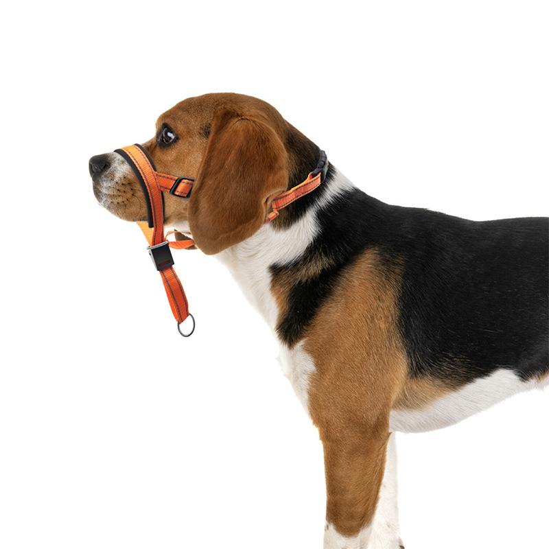 Gentle Leader Dog Head Collar No Pull Soft Padded Nylon Head Halter with Striped Pattern Stops Heavy Pulling