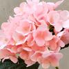 Künstliche Hortensie UV-beständig Gefälschte Seidenblume Zuhause Hochzeitsparty Babyparty Tischdekoration Innen Außen Künstliche Blüte Dekoration