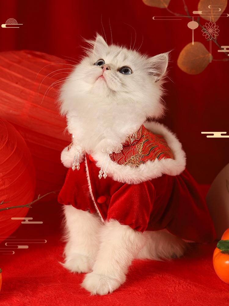 Festive Winter Cat & Dog Outfit: Warm Kitten Skirt for Autumn & New Year