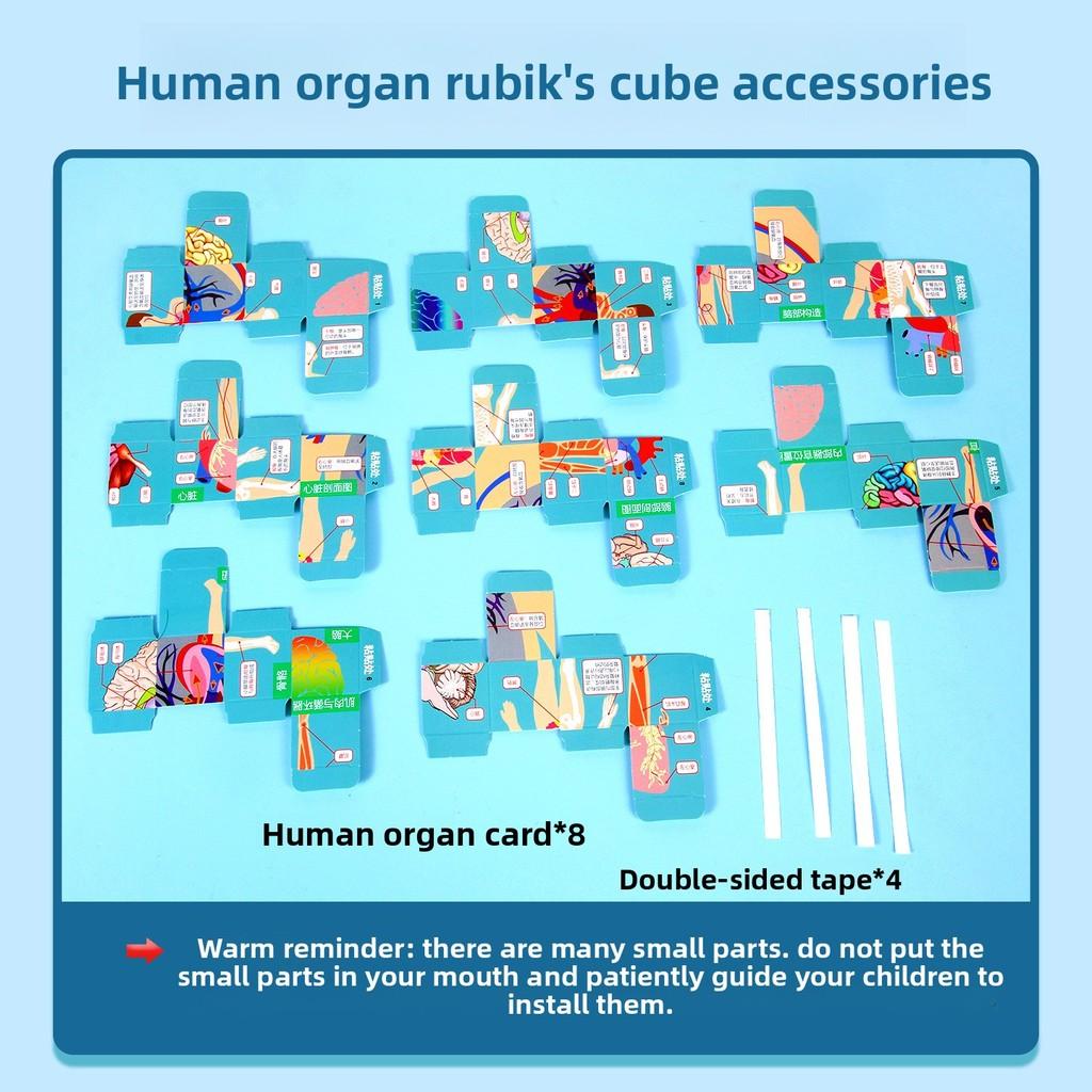 Science Experiment Human Body Organs Magic Cube For Students Educational Diy Toy