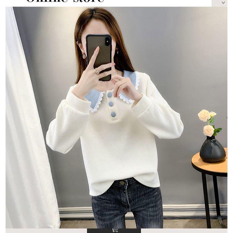 2025 Spring Women's Korean Style Lace Trim Peter Pan Collar Long Sleeve Sweater