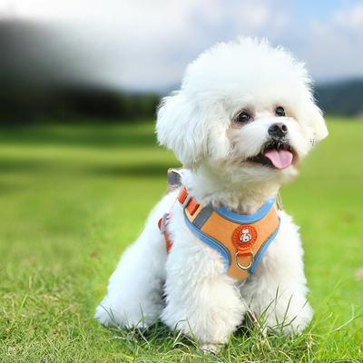 Dog Leash, Dog Walking Leash, Reflective Chest Strap, Adjustable Dog Walking Leash, Dog Chain, Small Vest Style