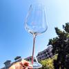 Elegant Stemmed Wine Glass