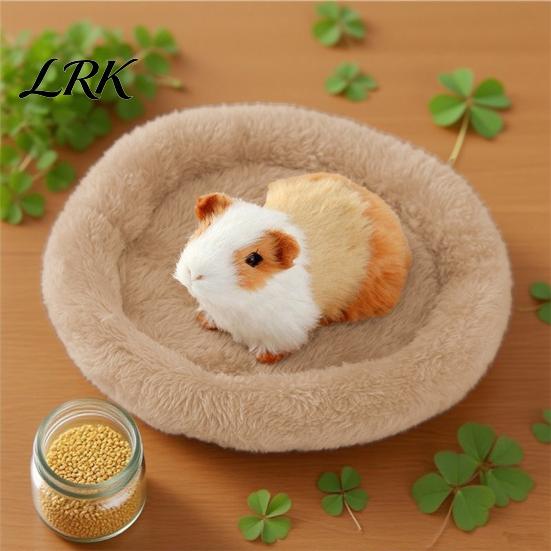 Cozy Bed for Parrots Shaggy Plush Parrot Bed, Warm Fuzzy Sleeping Pad, Round Fluffy Soft Nest Sugar Gliders Winter Hamsters Budgies Lovebirds