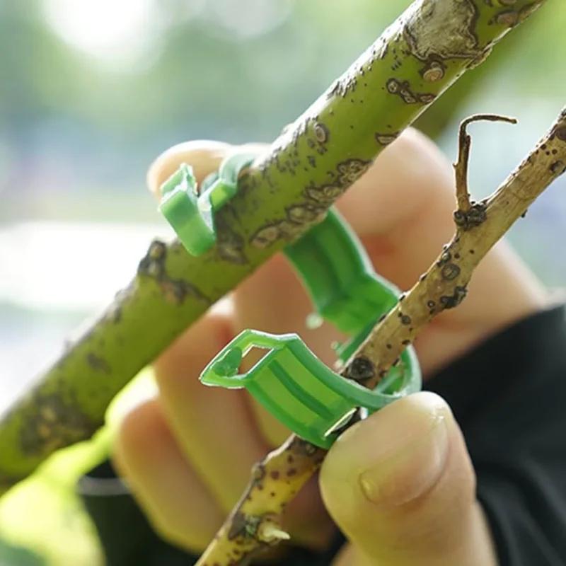 50-300Pcs Plant Support Clips Reusable Plastic Connects Vine Fixing Clip Tomato Grape Vegetable Plants Holder Buckle Garden Tool