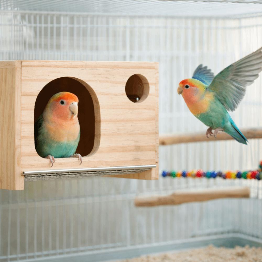 Grande Maison d'Oiseau en Bois Résistante aux Morsures Boîte de Reproduction pour Perroquets Boîte de Reproduction Créative pour Perroquets Volière