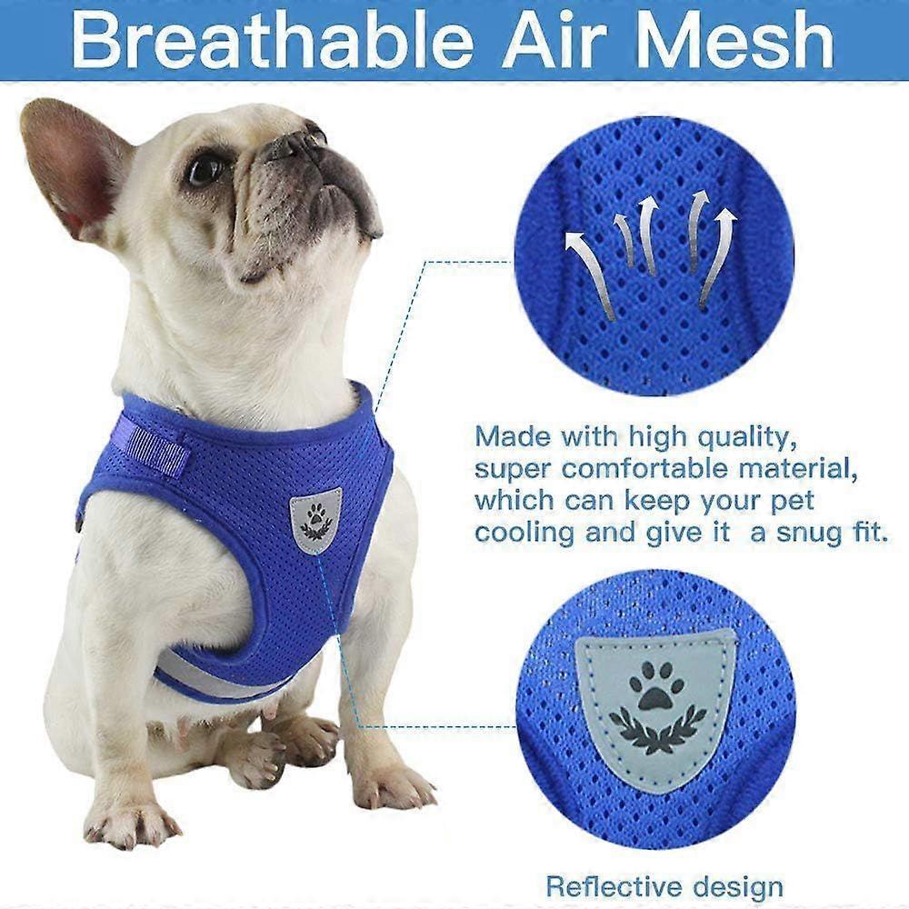 Best and Lead Set for Walking. Puppy Vest Harnesses Set for Small Breed Pet Fully Adjustable with Reflective Safe (Large. Blue)